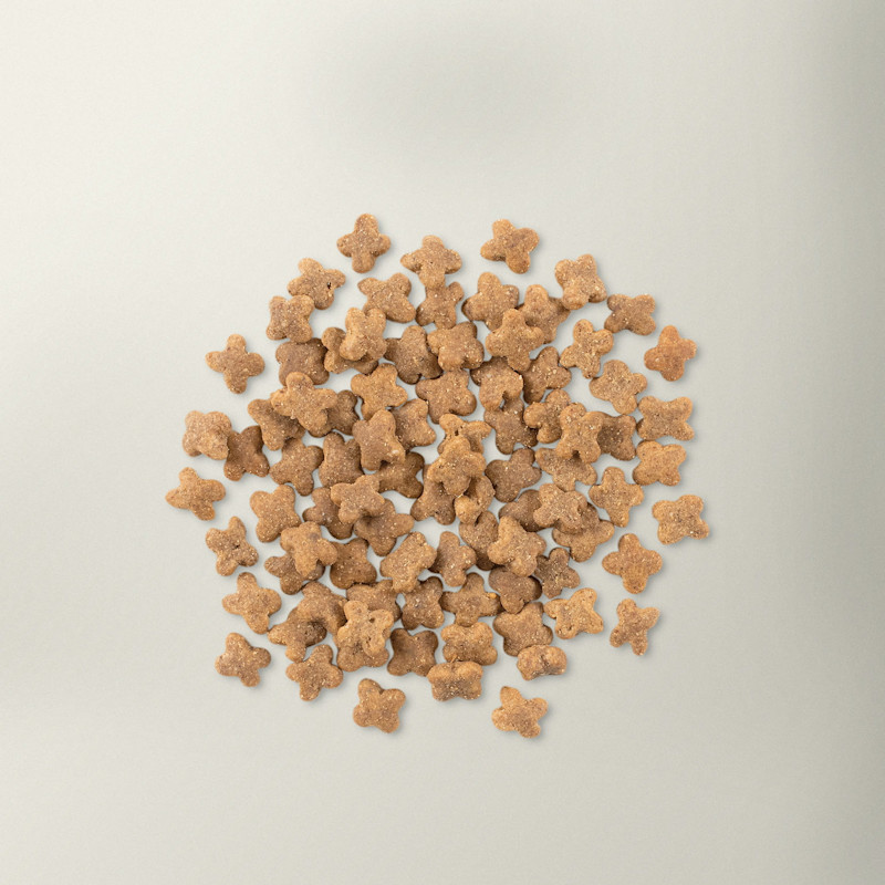 Now Fresh small breed dog food kibble