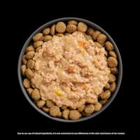Go! Solutions Booster Tranquility Chicken, Salmon + Duck food topper on kibble