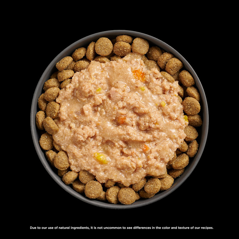 Go! Solutions Booster Tranquility Chicken, Salmon + Duck food topper on kibble