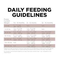 Go! Solutions Skin + Coat Care Large Breed Puppy Salmon Recipe with Grains dog food feeding guidelines