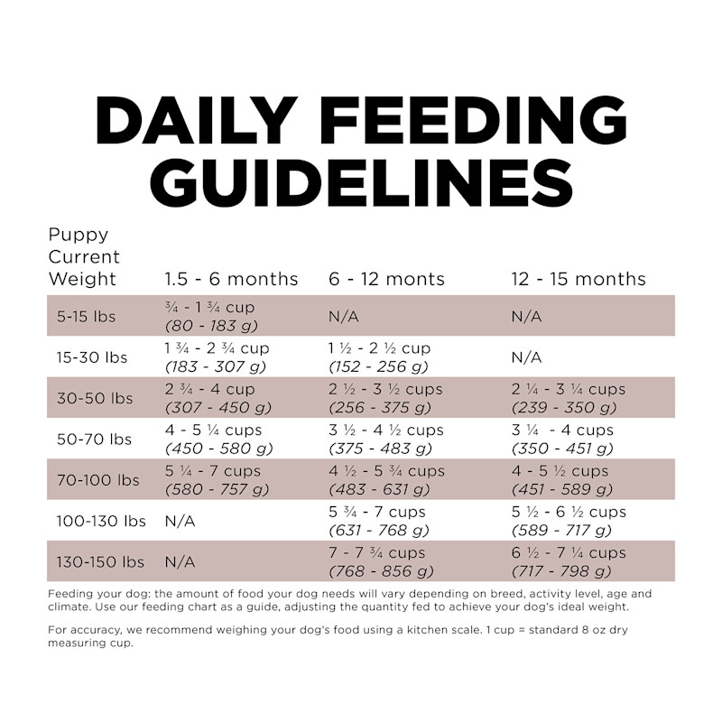 Go! Solutions Skin + Coat Care Large Breed Puppy Salmon Recipe with Grains dog food feeding guidelines