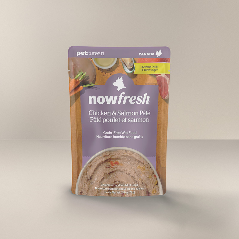 Chicken & Salmon Pâté Wet Food for Senior Dogs | Now Fresh