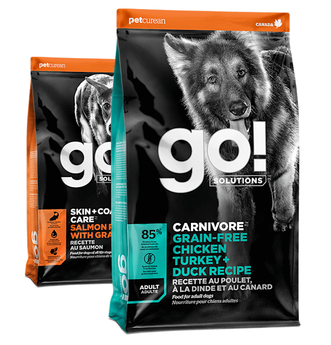 Go! Solutions Skin + Coat Care Salmon and Carnivore Chicken, Turkey + Duck dry food recipes for dogs