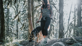 Pet parent and German Shepherd dog in the woods going for a hike