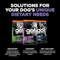 Explore our other dog food solutions
