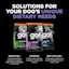 Explore our other dog food solutions