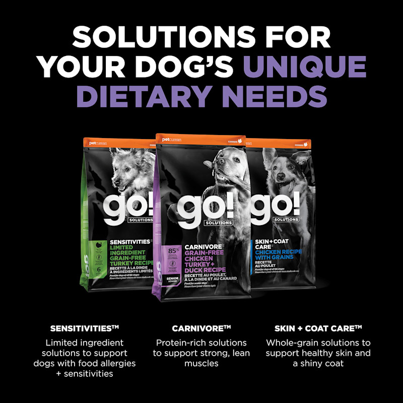 Explore our other dog food solutions