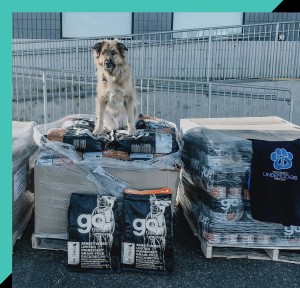 Dog sitting on palettes of kibble sent to the Manitoba Underdogs Rescue