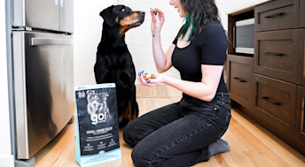 Woman feeding Doberman dog Go! Solutions Dental + Immune Health kibble