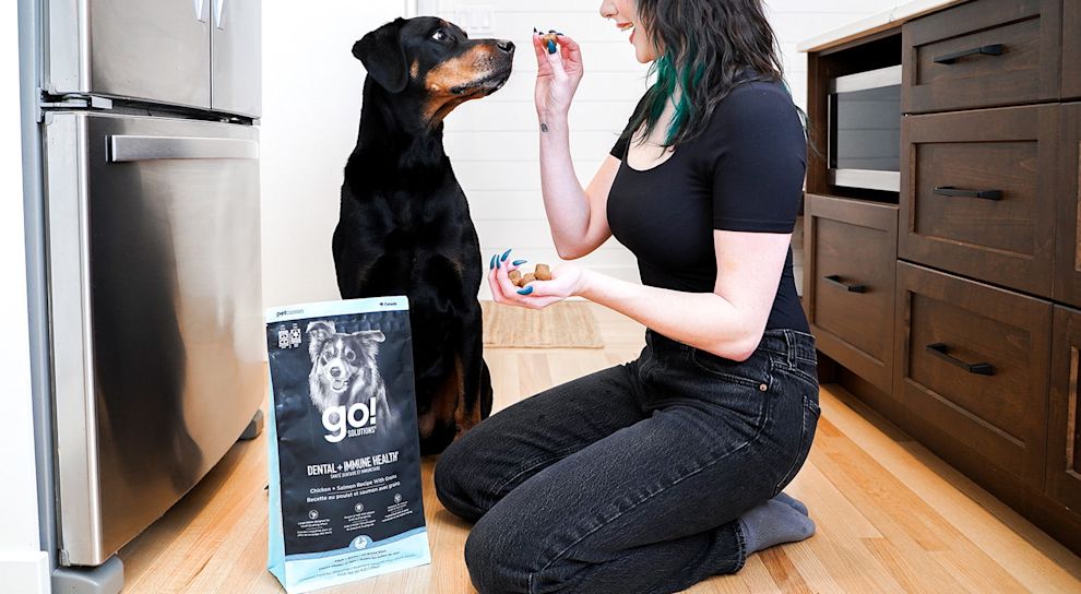 Woman feeding Doberman dog Go! Solutions Dental + Immune Health kibble