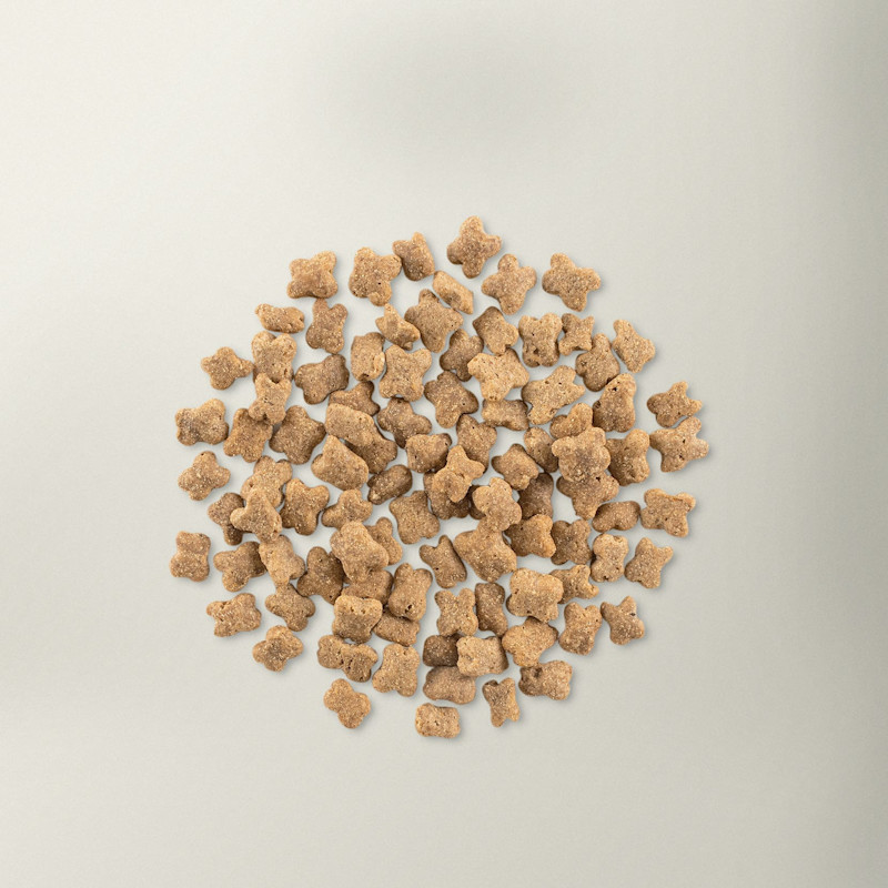 Now Fresh small breed senior dog food kibble