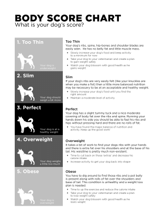 GO! SOLUTIONS dog body score chart