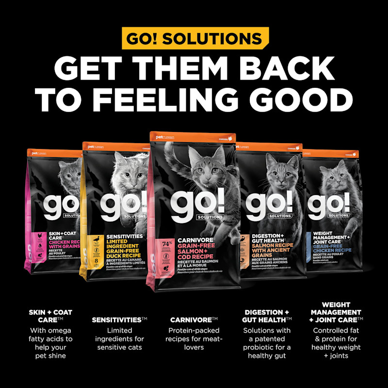 Get them back to feeling good
