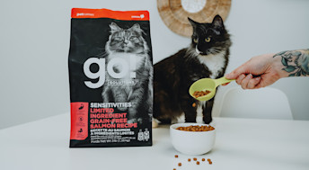 Black and white spotted cat being fed Go! Solutions Sensitivities kibble