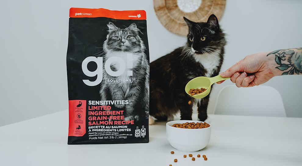Black and white spotted cat being fed Go! Solutions Sensitivities kibble