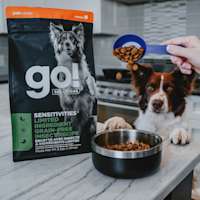 Dog with paws up on counter watching Go! kibble being poured into bowl