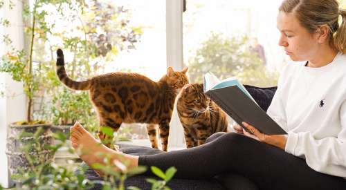 Two Bengal cats beside green plants and woman reading a book