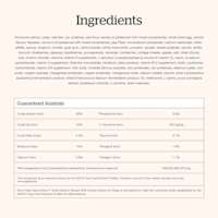 Now Fresh Good Gravy Salmon Recipe dog food ingredients
