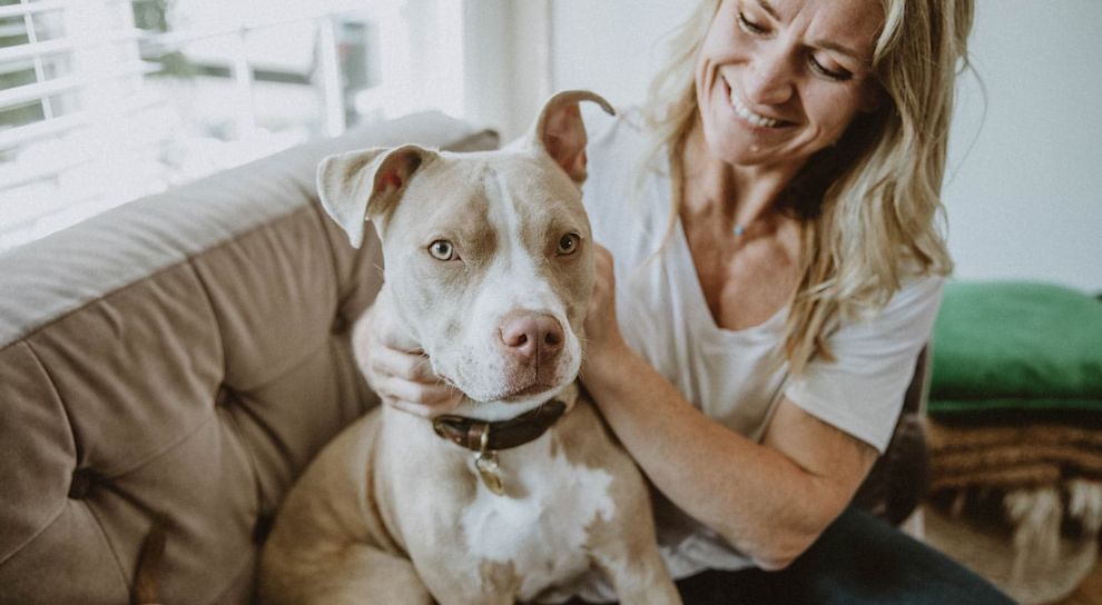 Dog and owner on couch