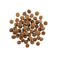 GO! SOLUTIONS CARNIVORE Grain-Free Chicken, Turkey + Duck Puppy Recipe kibble