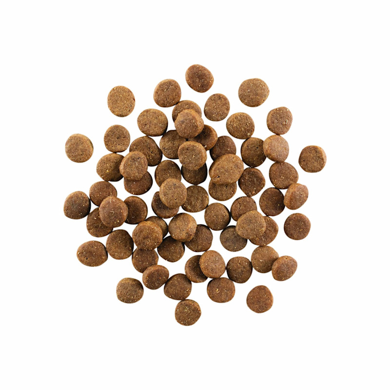 GO! SOLUTIONS CARNIVORE Grain-Free Chicken, Turkey + Duck Puppy Recipe kibble
