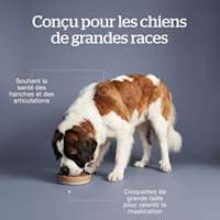 Made for large breed dogs