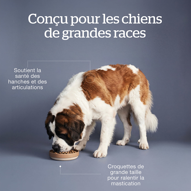 Made for large breed dogs