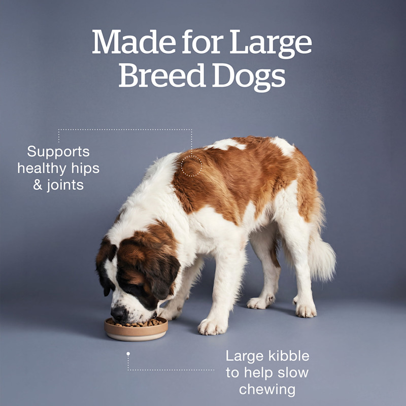 Made for large breed dogs