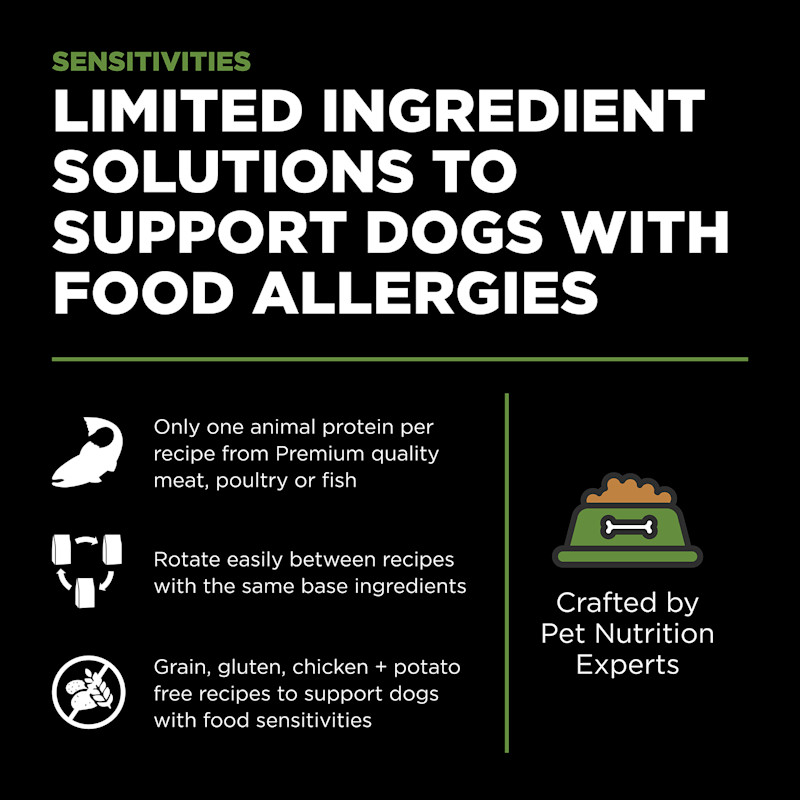 Limited ingredient solutions to support dogs with food allergies