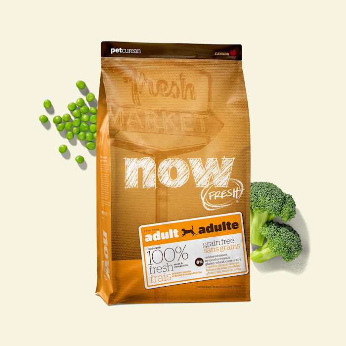 NOW FRESH Recipe for Adult Dogs