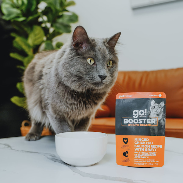 Immune Health Minced Chicken & Salmon With Gravy Cat Food Topper