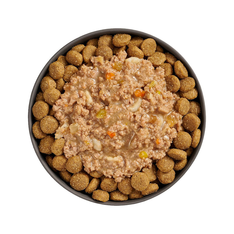 Bowl of kibble topped with Go! Booster Digestive Health Chicken + Lamb recipe for dogs