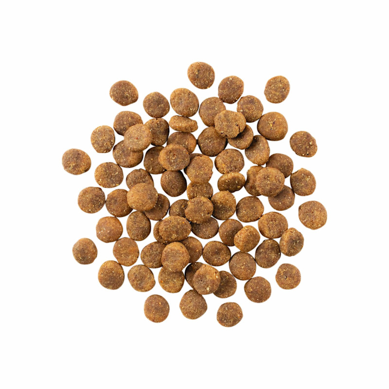 GO! SOLUTIONS SENSITIVITIES Limited Ingredient Grain-Free Duck Recipe for Dogs kibble