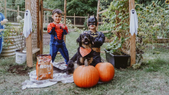 Dog and kids dressed up for Halloween