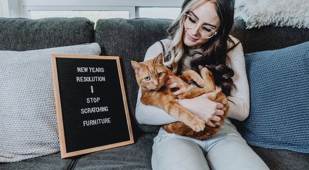 Ginger cat sitting on pet parents lap beside letterboard