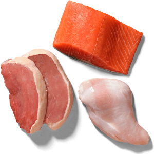 Turkey, salmon, and duck meat