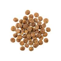 GO! SOLUTIONS SENSITIVITIES Limited Ingredient Grain-Free Venison Recipe for Dogs kibble