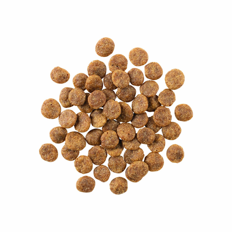 GO! SOLUTIONS SENSITIVITIES Limited Ingredient Grain-Free Venison Recipe for Dogs kibble