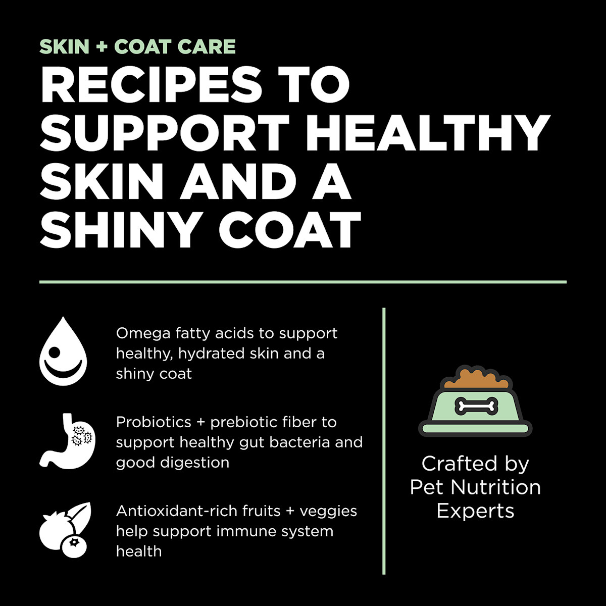 Recipes to support healthy skin and a shiny coat