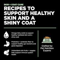 Recipes to support healthy skin and a shiny coat