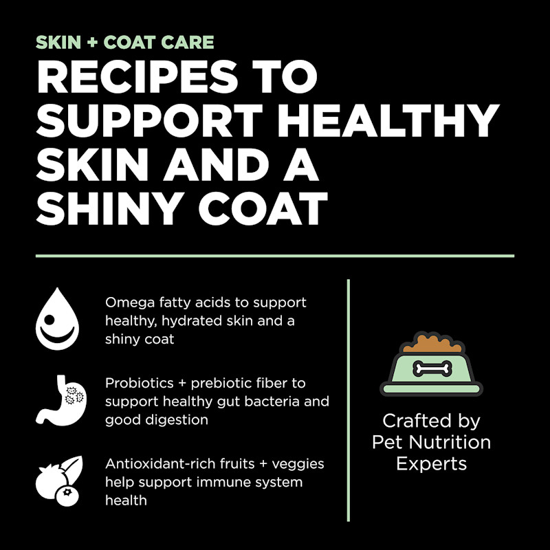 Recipes to support healthy skin and a shiny coat