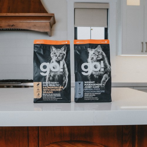 GO! SOLUTIONS DIGESTION + GUT HEALTH and WEIGHT MANAGEMENT + JOINT CARE dry cat food on counter