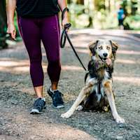 Dog and owner hiking with tongue out