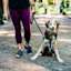 Dog and owner hiking with tongue out