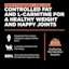 Controlled fat and l-carnitine for a healthy weight and happy joints