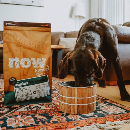 Dog eating beside bag of Now Fresh large breed senior dog food