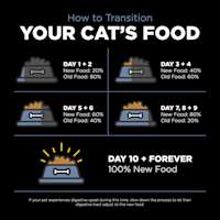 Transition your cat's food gradually over a 10-day period to avoid digestive upset