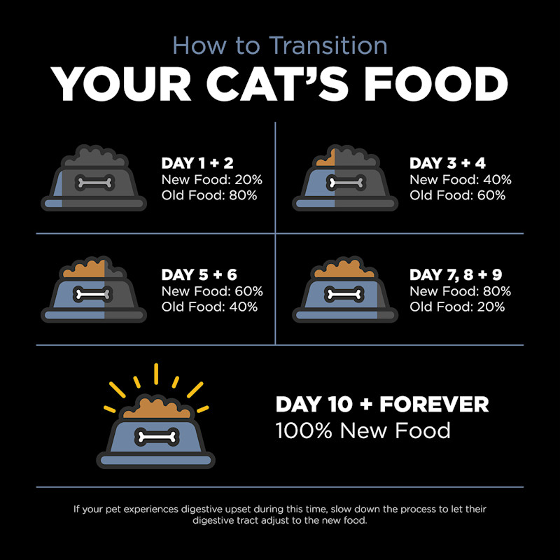 Transition your cat's food gradually over a 10-day period to avoid digestive upset