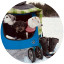 GO-SOLUTIONS-three-dogs-sitting-in-wagon-in-the-snow-beside-boots