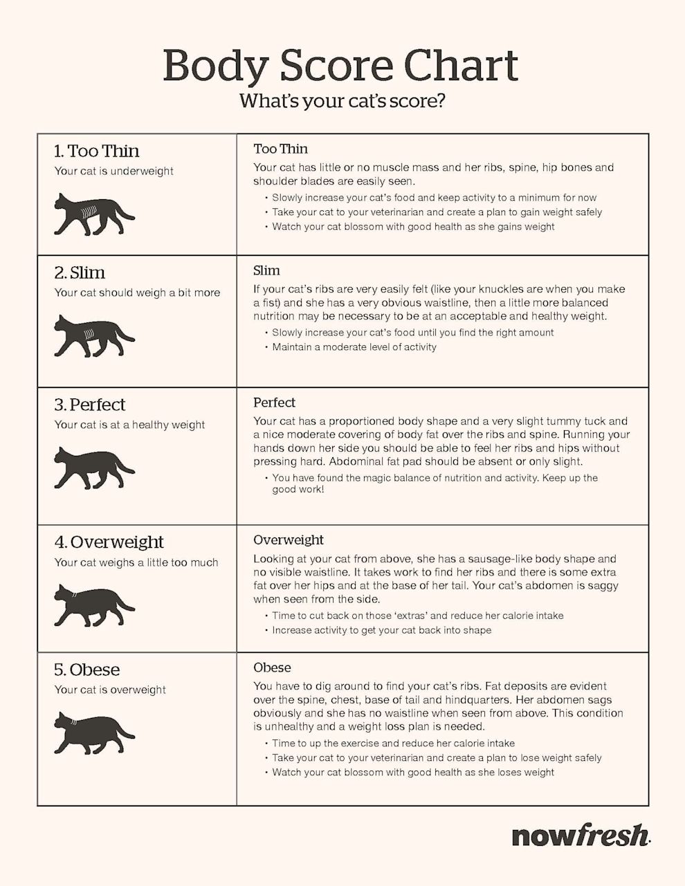 NOW FRESH cat body score chart